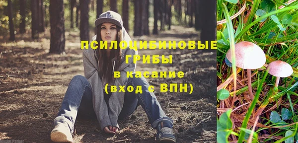 a pvp Алексин